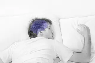 sleep, brain