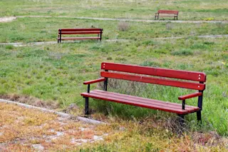 Empty Vacant Benches Park - Shutterstock
