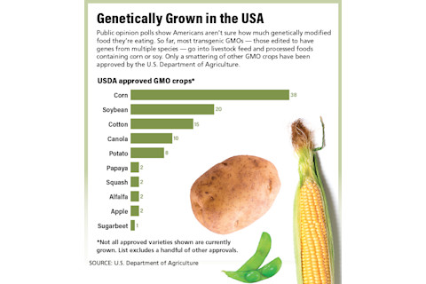 US-GMOs