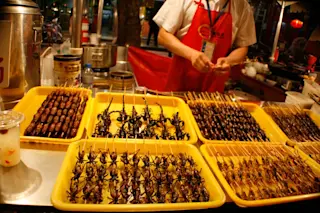 bugs-on-sticks