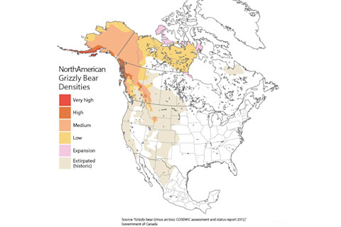 Grizzly Bear Range Map - Discover