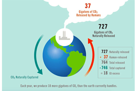Each year, human activity releases 18 gigatons more carbon dioxide than the Earth can absorb. Enhanced plants could take up some of that excess. (Credit: Salk/HPI)