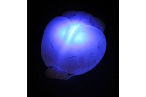 glowing-brain