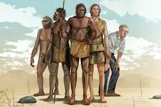dysevolution