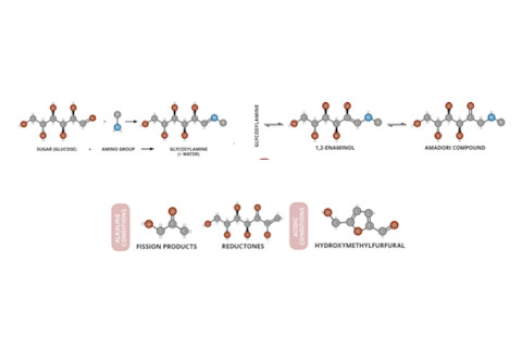 Figure 1. Maillard Reaction Scheme and possible products. Photo Credit: Compound Interest