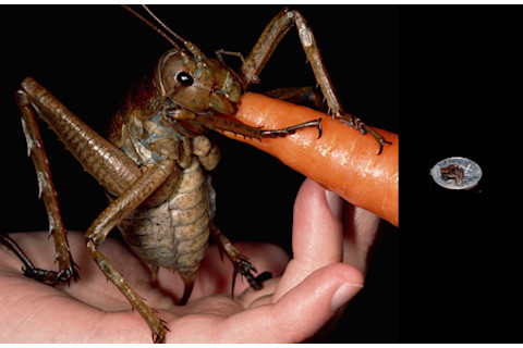 spacing is important