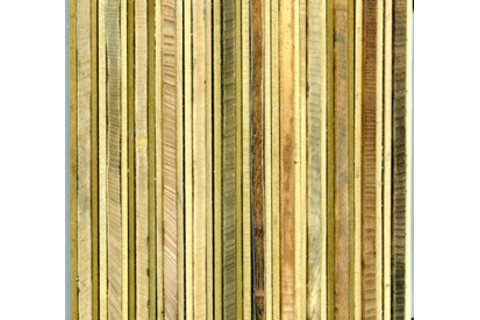 core-sample