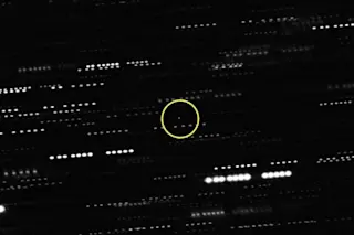 The best available image of 'Oumuamua shows just an enigmatic dot of light, circled in yellow; the dashed lines are stars that got smeared out as the telescope tracked the interstellar object. (Credit: ESO/K. Meech et al.)