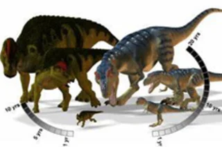 Fast-growing dino