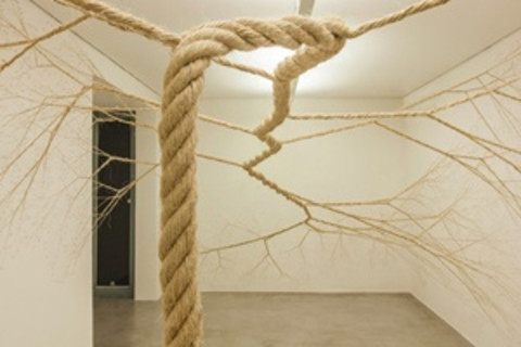 ropes