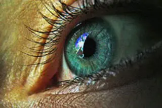 eye