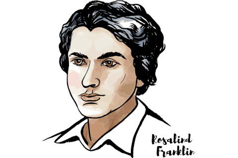 Rosalind Franklin