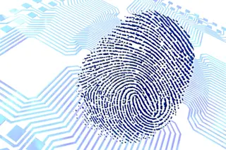 DSC-B0817 01 thumbprint