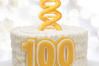 dnacake