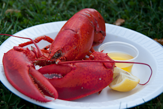 lobsters1.png