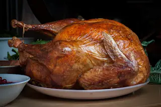 roastturkey_timsackton.jpg