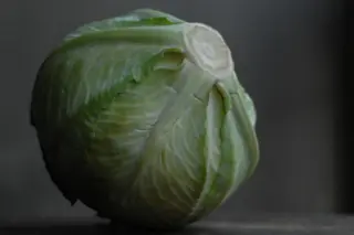 cabbage-credit-postbear.jpg