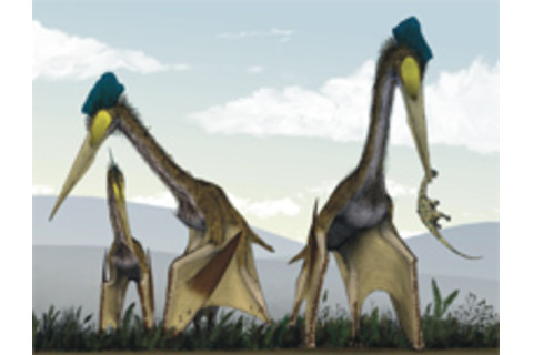 Quetzalcoatlus.jpg
