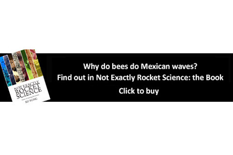 Bookbanner4.jpg