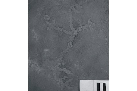 f258a-rockart.jpg