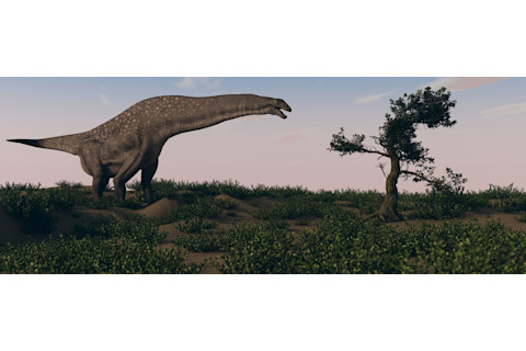 3d illustration grazing titanosaurus