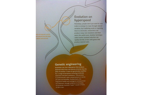ge-e1358260806809.jpg