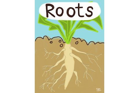 Roots-Image.png