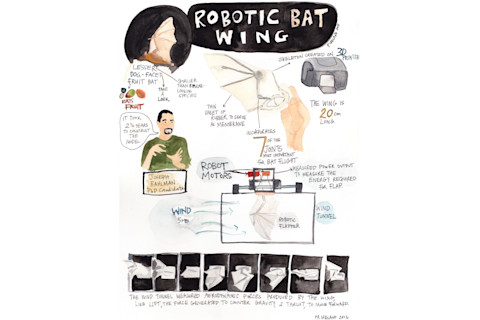 Robotic-Bat-Wing-778x1024.jpg