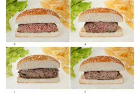 burger_fig-300x219.jpg