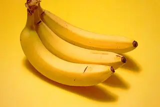 396080740_01dcc07d57_z.jpg