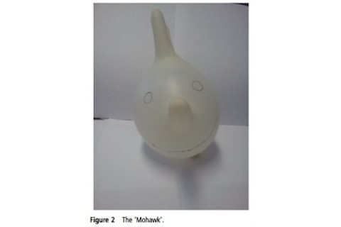 fig2-223x300.jpg
