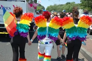 gaydar-300x199.jpg