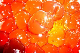 470056933_f635150a2b.jpg