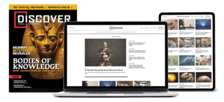 Different Discover Magazine media, showing a magazine cover and digital content on a laptop and tablet