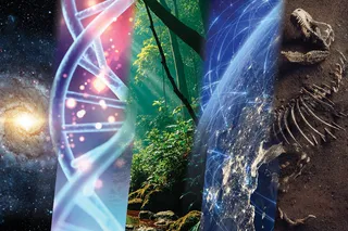 Discover placeholder image Discover placeholder image